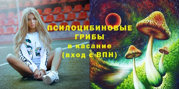 гашик Гвардейск
